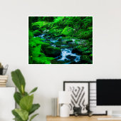 Killarney National Park Wall Art | Mossy Stream ポスター (ホームオフィス)