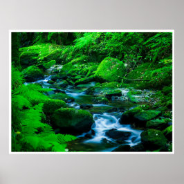 Killarney National Park Wall Art | Mossy Stream ポスター