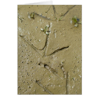 Killdeerトラック