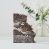 Killdeer はがき (スタンド正面)
