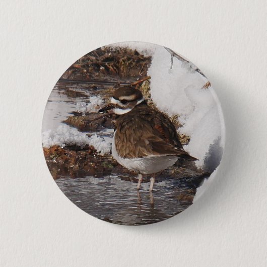 Killdeer バッジ (正面)
