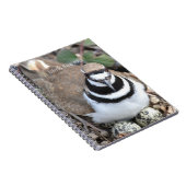 Killdeer Bird with Eggs (my photography) ノートブック (右側)