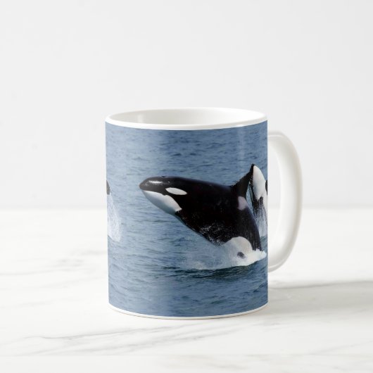 Killer whale コーヒーマグカップ (正面右)