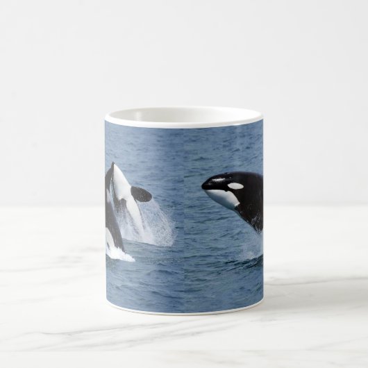 Killer whale コーヒーマグカップ (中央)