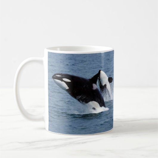 Killer whale コーヒーマグカップ (左)