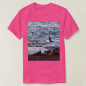 Killer whale hunting seals on the beach tシャツ (デザイン正面)