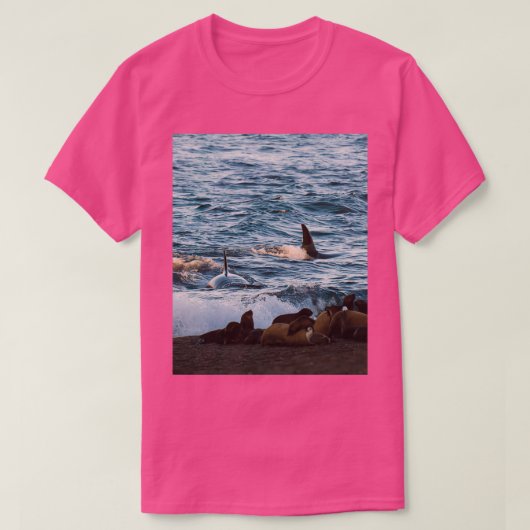 Killer whale hunting seals on the beach tシャツ (デザイン正面)