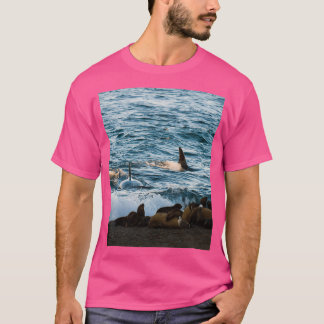 Killer whale hunting seals on the beach tシャツ