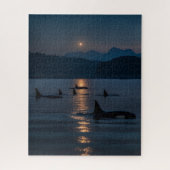 Killer Whales at Night - Orca Jigsaw Puzzle ジグソーパズル (縦)
