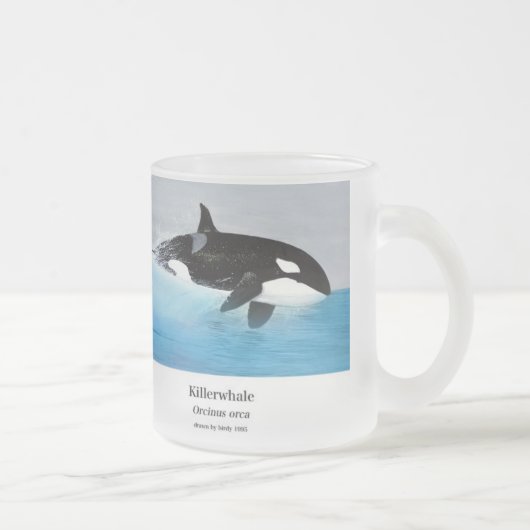 Killerwhale , Orcinus orca フロストグラスマグカップ (右)