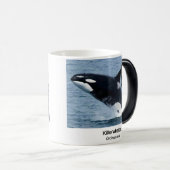 Killerwhale , Orcinus orca モーフィングマグカップ (正面右)