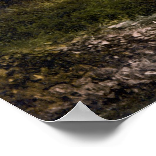 Killiney Hill & Dalkey, Co. Dublin c1905 ポスター (角)