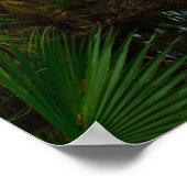 Kilpatrick Hammock, Kissimmee Prarie Preserve, FL ポスター (角)