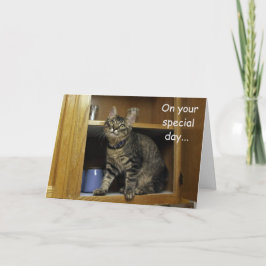 Kimber Kitten in the Cupboard Mother's Day Card カード