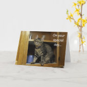 Kimber Kitten in the Cupboard Mother's Day Card カード (黄色い花)