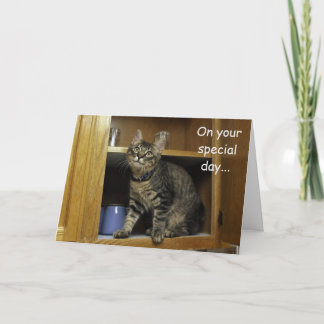 Kimber Kitten in the Cupboard Mother's Day Card カード
