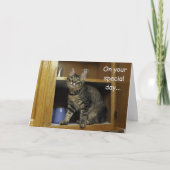 Kimber Kitten in the Cupboard Mother's Day Card カード (正面)