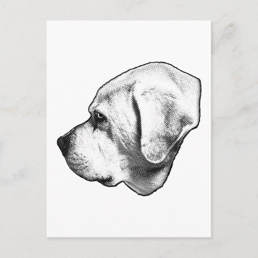 Kind Message Across the Miles ポストカード (正面)