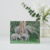 Kinded Spirits (2) ポストカード (スタンド正面)