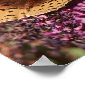 Kindness Is The Language ポスター (角)