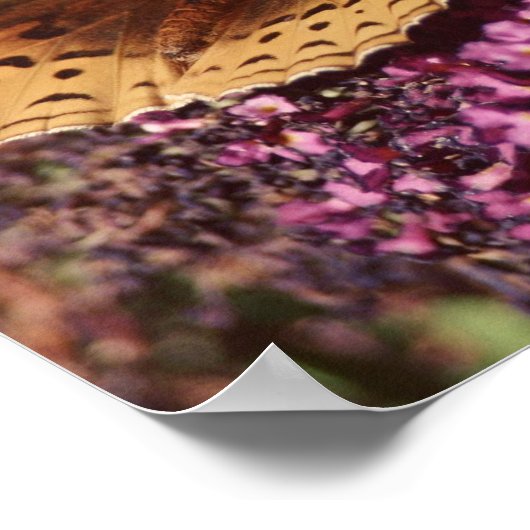 Kindness Is The Language ポスター (角)