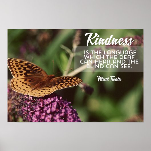 Kindness Is The Language ポスター (正面)