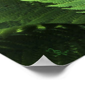 Kindred Spirits Poster ポスター (角)