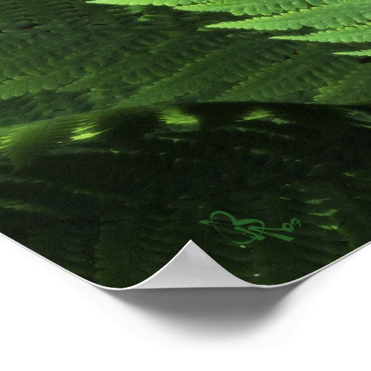 Kindred Spirits Poster ポスター (角)