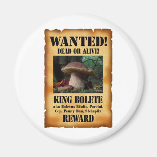 King Bolete – 死んだか生きていたか マグネット