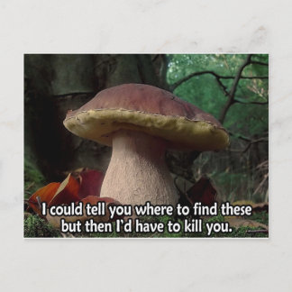 King Bolete – 殺さないと ポストカード
