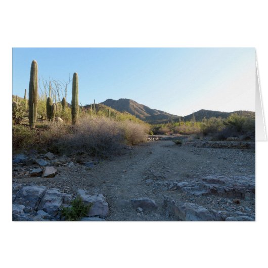 King Canyon Trail I (正面横)