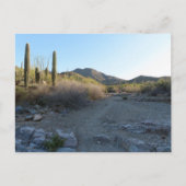 King Canyon Trail I ポストカード (正面)