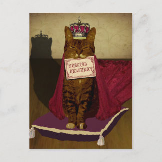 King Cat特別配送はがき ポストカード