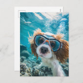 King Charles Cocker Spaniel driving in ocean シーズンポストカード (正面/裏面)