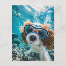 King Charles Cocker Spaniel driving in ocean シーズンポストカード