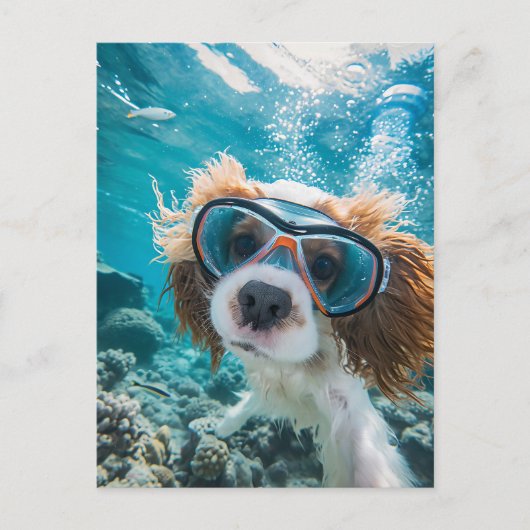 King Charles Cocker Spaniel driving in ocean シーズンポストカード (正面)