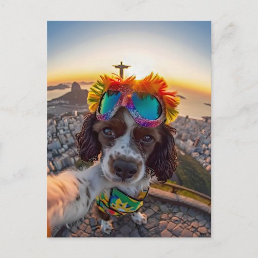 King Charles Cocker Spaniel in Brazil シーズンポストカード (正面)