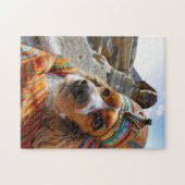 King Charles Cocker Spaniel in Egypt ジグソーパズル (横)