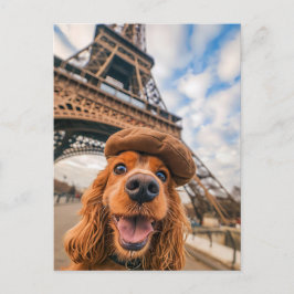 King Charles Cocker Spaniel in Paris シーズンポストカード