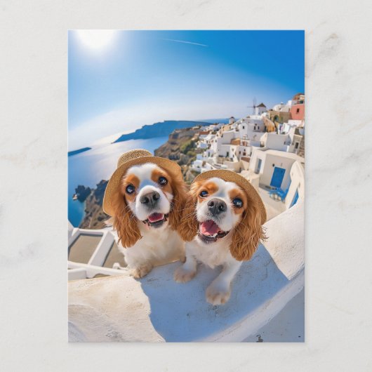 King Charles Cocker Spaniel in Santorini シーズンポストカード (正面)