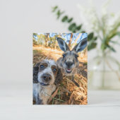 King Charles Cocker Spaniel Takes Selfies Across t シーズンポストカード (スタンド正面)