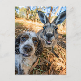 King Charles Cocker Spaniel Takes Selfies Across t シーズンポストカード