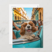 King Charles Cocker Spaniel Takes Selfies in Cuba シーズンポストカード (正面/裏面)