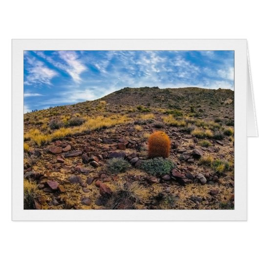 " King Of The Hill " (正面横)