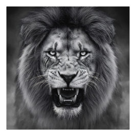 King of the Jungle フォトプリント