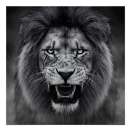 King of the Jungle ポスター