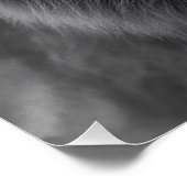 King of the Jungle ポスター (コーナー)