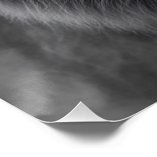 King of the Jungle ポスター (コーナー)