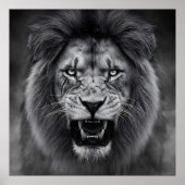 King of the Jungle ポスター (正面)