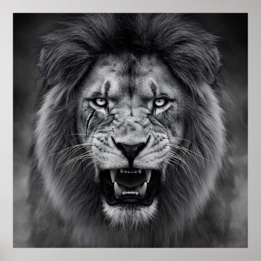 King of the Jungle ポスター (正面)